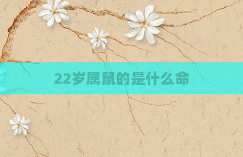 22岁属鼠的是什么命