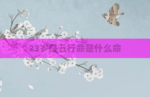 23岁是五行命是什么命