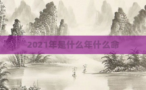 2021年是什么年什么命
