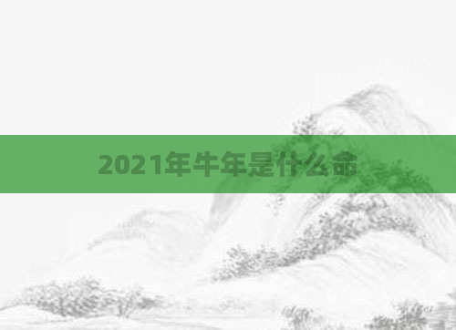 2021年牛年是什么命