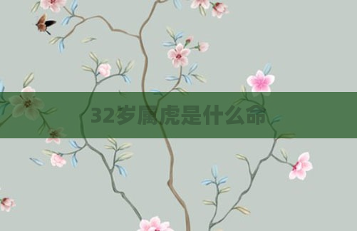32岁属虎是什么命