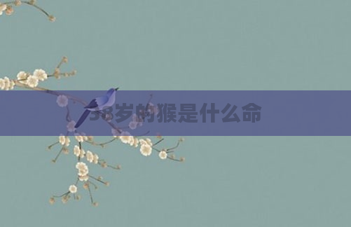 38岁的猴是什么命