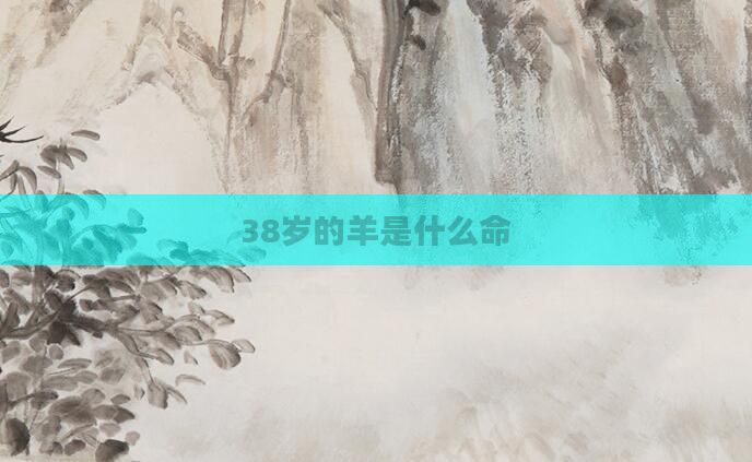 38岁的羊是什么命