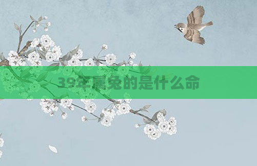 39年属兔的是什么命