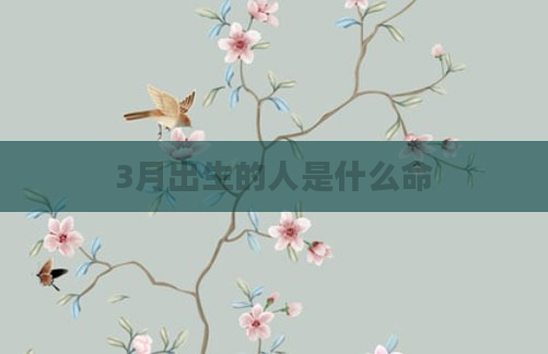 3月出生的人是什么命