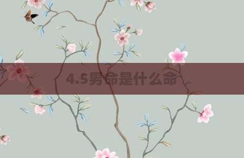 4.5男命是什么命