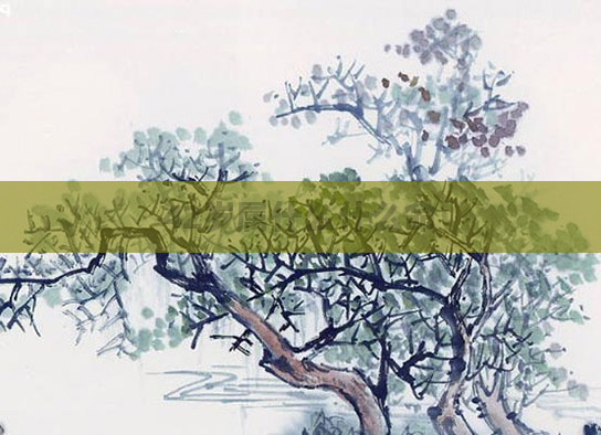 42岁属什么什么命