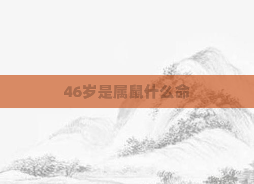 46岁是属鼠什么命