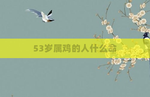 53岁属鸡的人什么命
