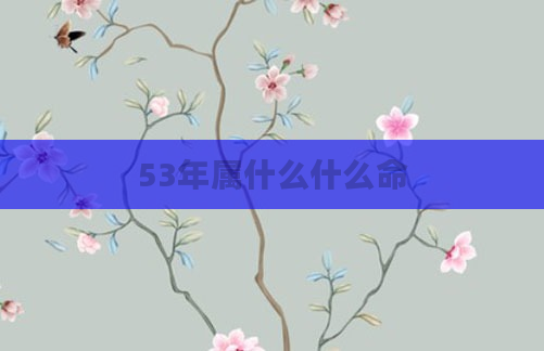 53年属什么什么命