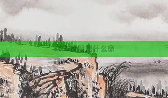 56年属猴是什么命