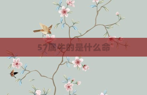 57属牛的是什么命