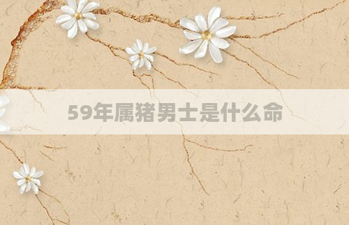 59年属猪男士是什么命
