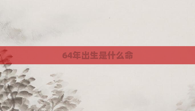 64年出生是什么命