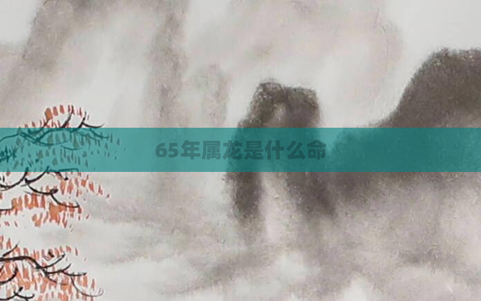 65年属龙是什么命