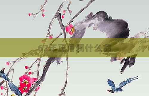 67年正月属什么命