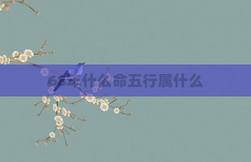 68年什么命五行属什么