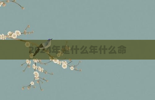 2024年是什么年什么命