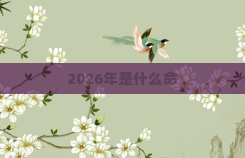 2026年是什么命
