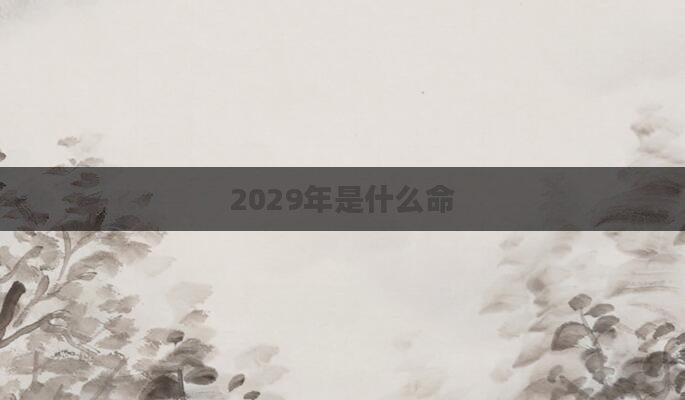 2029年是什么命