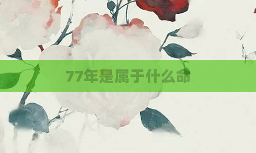 77年是属于什么命