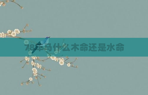 78年马什么木命还是水命