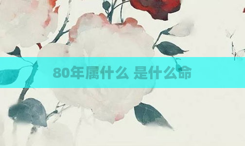80年属什么 是什么命