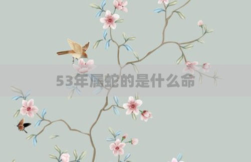 53年属蛇的是什么命
