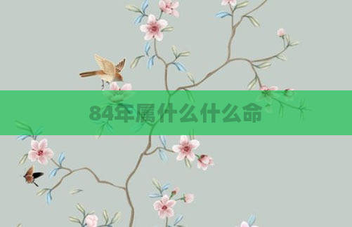 84年属什么什么命