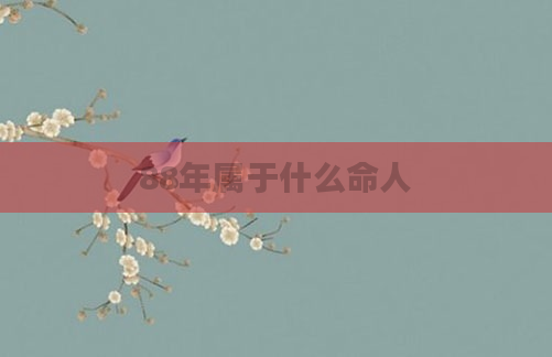 88年属于什么命人
