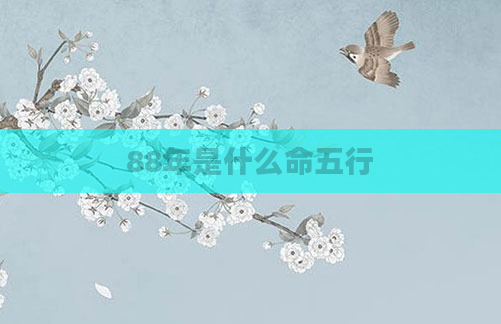 88年是什么命五行
