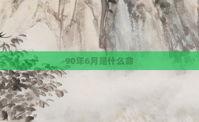 90年6月是什么命