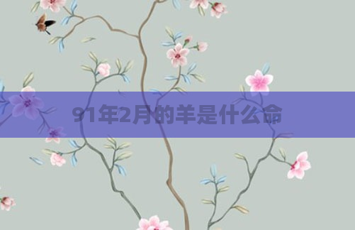 91年2月的羊是什么命