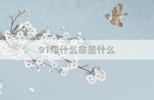 91年什么命是什么