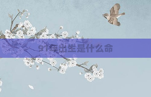 91年出生是什么命
