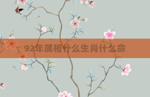 92年属相什么生肖什么命