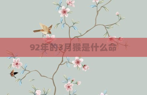 92年的3月猴是什么命