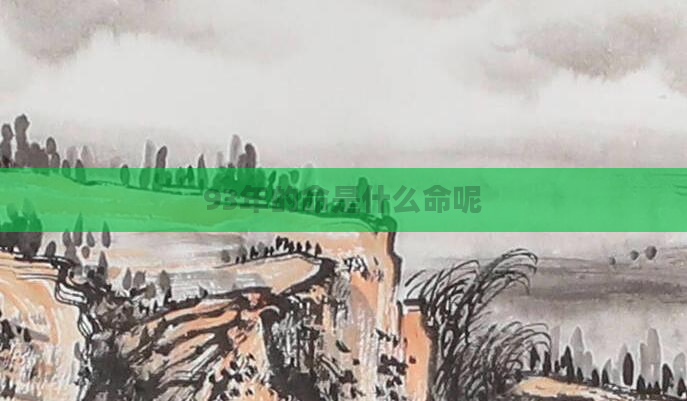 93年的命是什么命呢