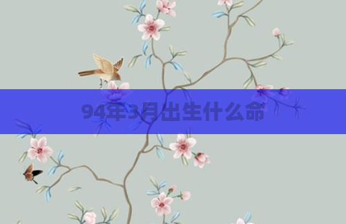 94年3月出生什么命