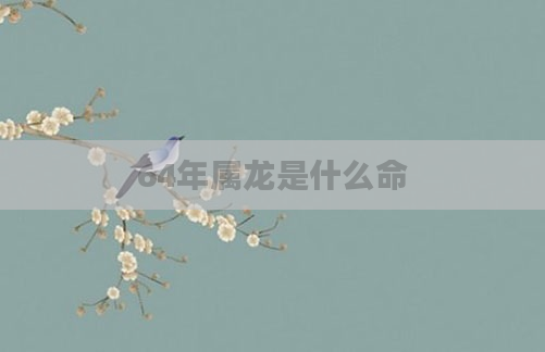 64年属龙是什么命