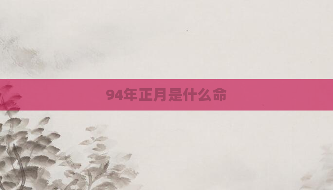 94年正月是什么命