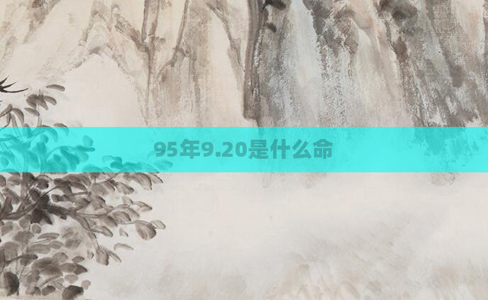95年9.20是什么命