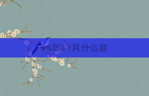 96年11月什么命