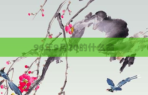 96年9月20的什么命