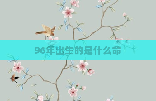 96年出生的是什么命