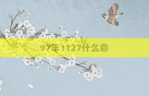 97年1127什么命