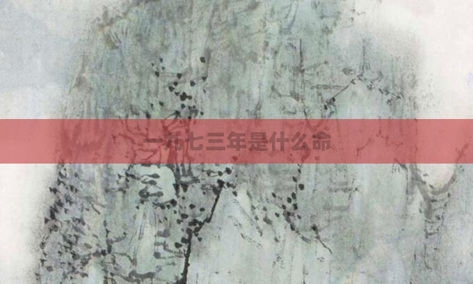 一九七三年是什么命