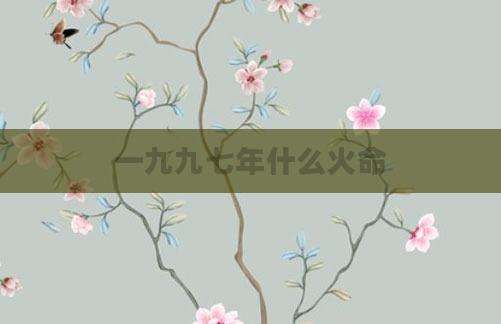 一九九七年什么火命
