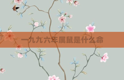 一九九六年属鼠是什么命