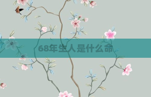 68年生人是什么命